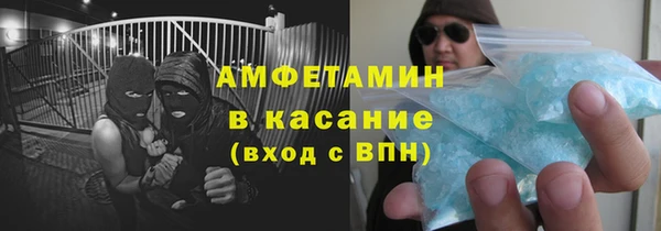 шишки Лагань