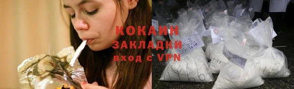 шишки Лагань