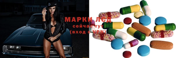 шишки Лагань