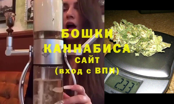 прущие грибы Липки