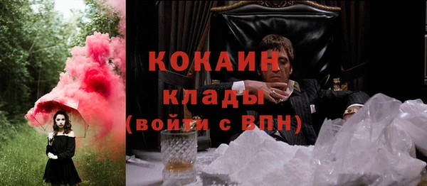 шишки Лагань